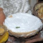 Vraj-Yatra-2014- (1140)